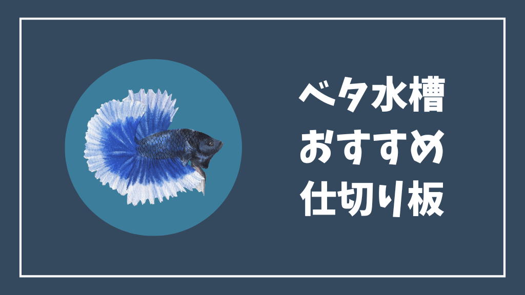 ベタ水槽のおすすめ仕切り板