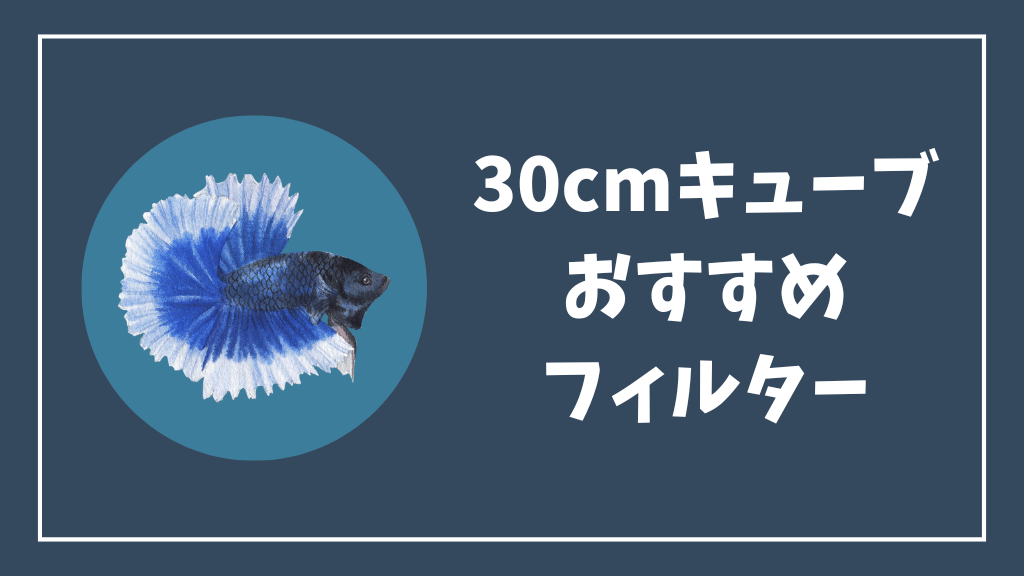 ベタの30cmキューブ水槽におすすめのフィルター