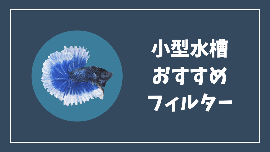 小型水槽のおすすめフィルター