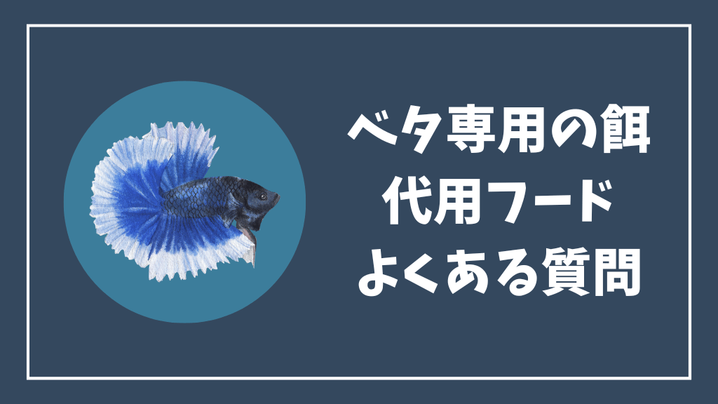 ベタ専用の餌の代用フードのよくある質問