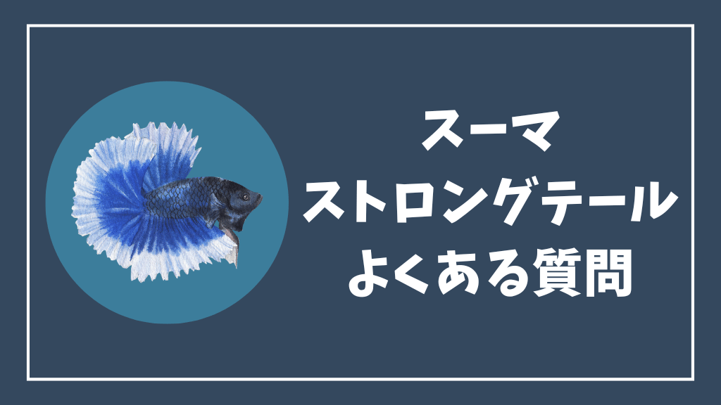 スーマストロングテールのよくある質問