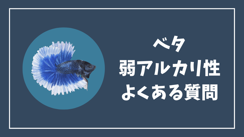 ベタの弱アルカリ性のよくある質問