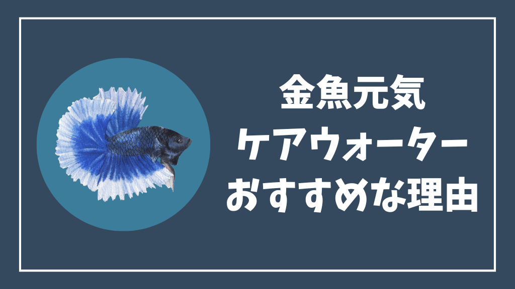 金魚元気ケアウォーターがベタにもおすすめな理由
