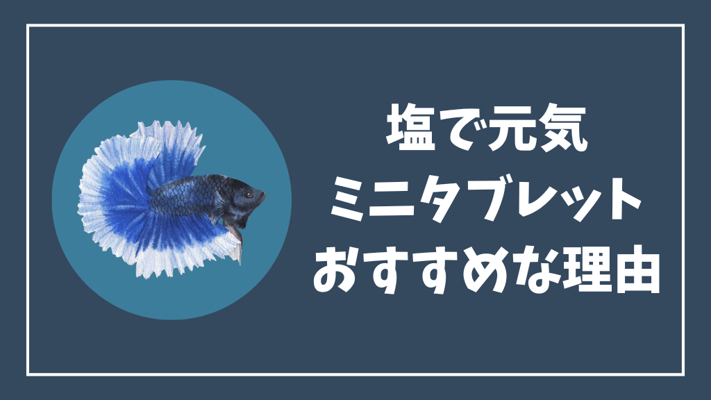 塩で元気ミニタブレットがおすすめな理由