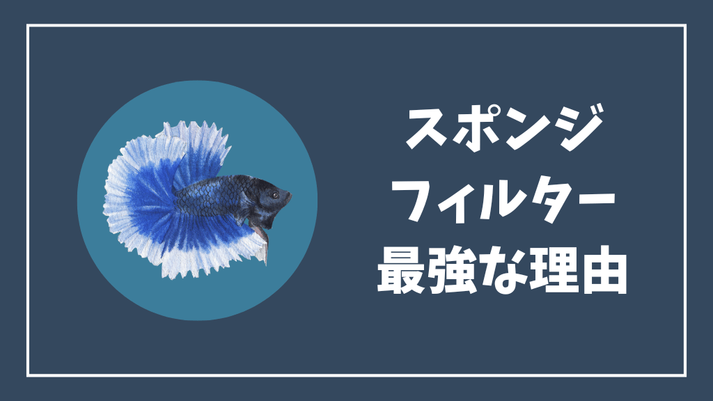スポンジフィルターが最強な理由