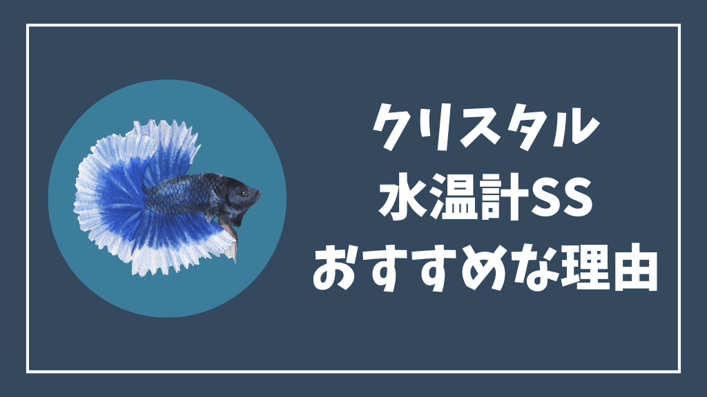 クリスタル水温計SSがおすすめな理由