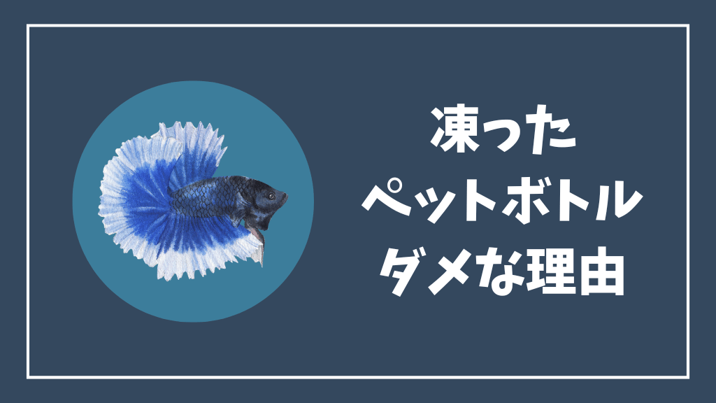 凍ったペットボトルで水温を下げるのがダメな理由