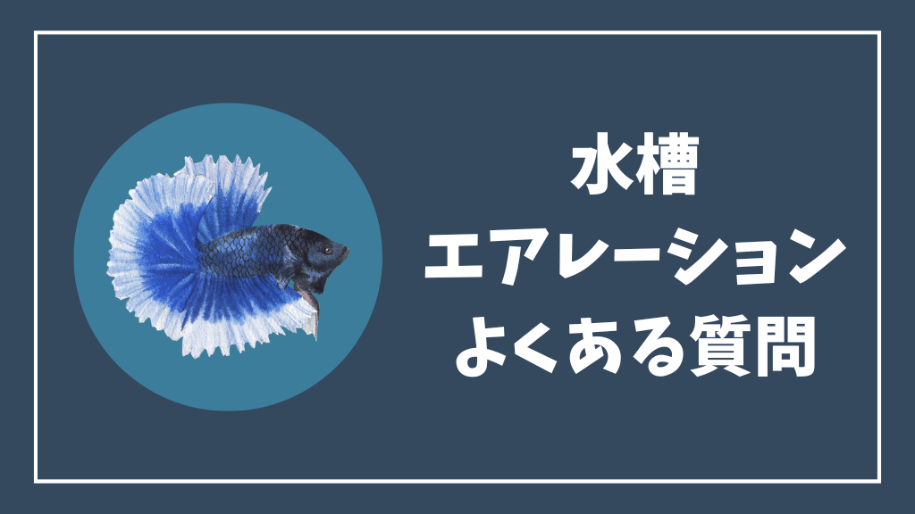 水槽のエアレーションのよくある質問