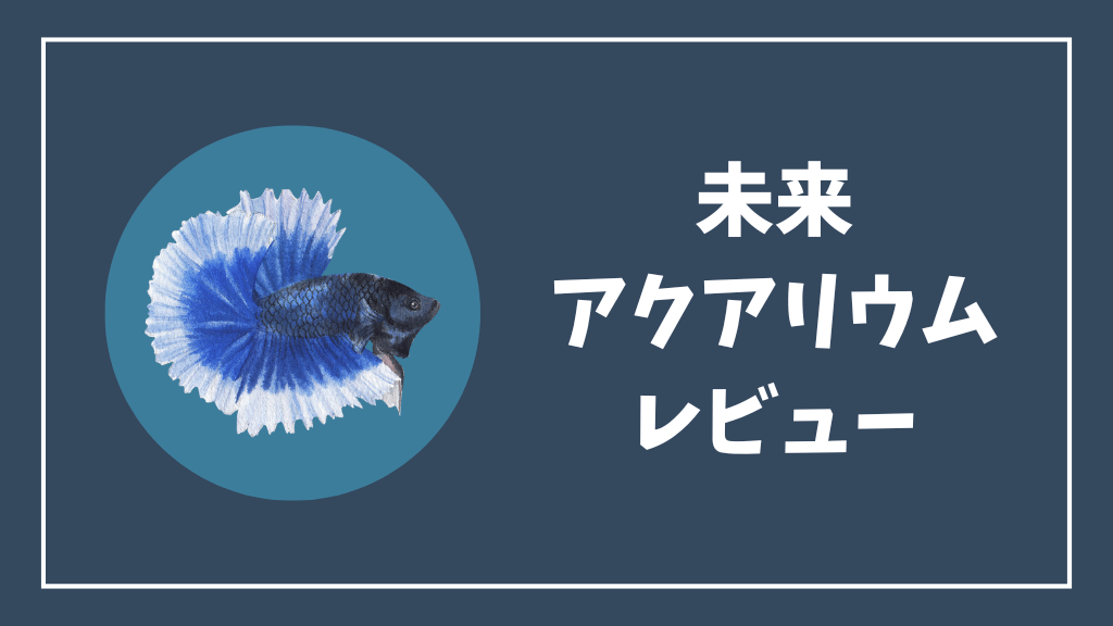 未来アクアリウムレビュー