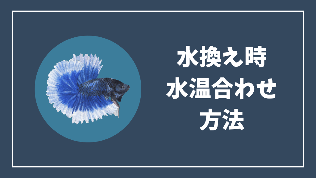 水換え時の水温合わせの方法
