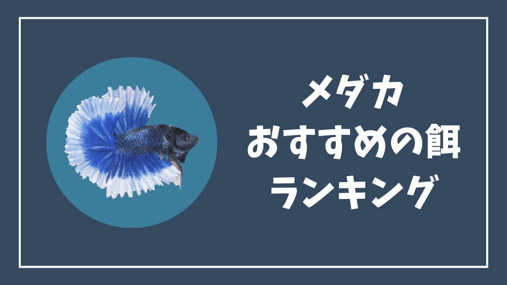メダカのおすすめの餌ランキング