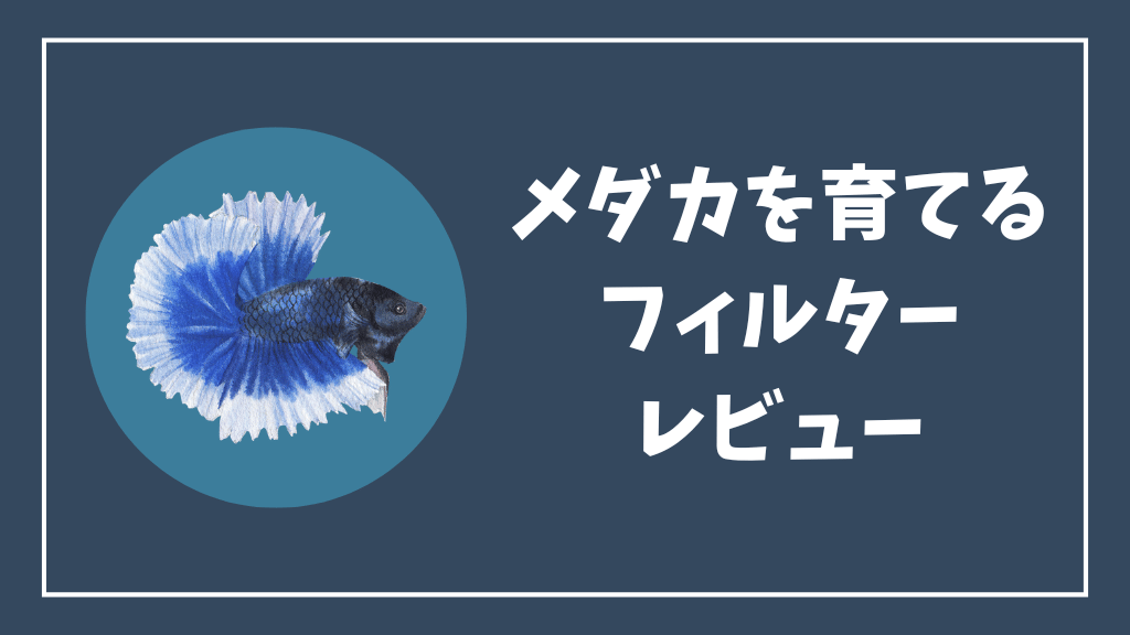 メダカを育てるフィルターのレビュー