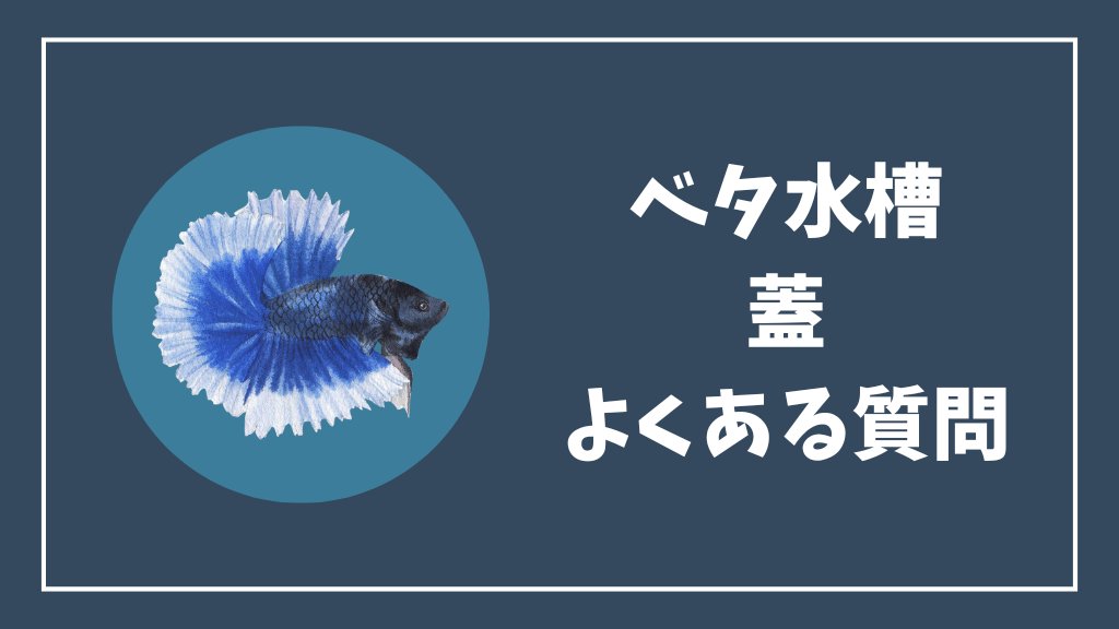 ベタ水槽の蓋のよくある質問