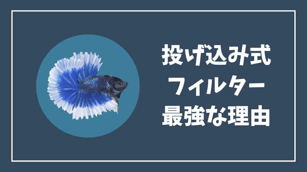 投げ込み式フィルターが最強な理由