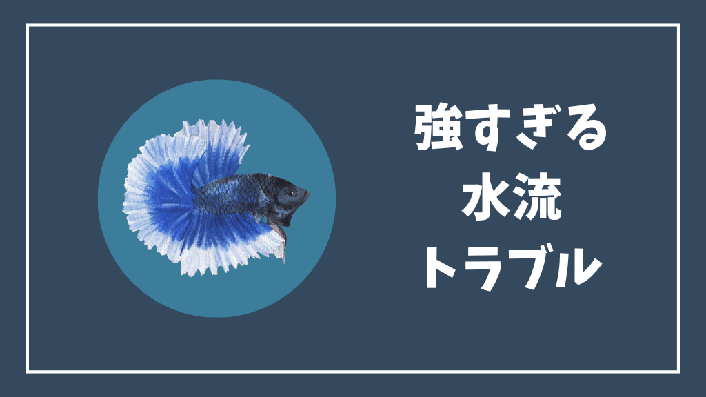 強すぎるベタ水槽の水流のトラブル