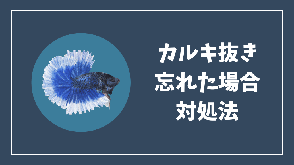 カルキ抜きを入れ忘れた場合の対処法