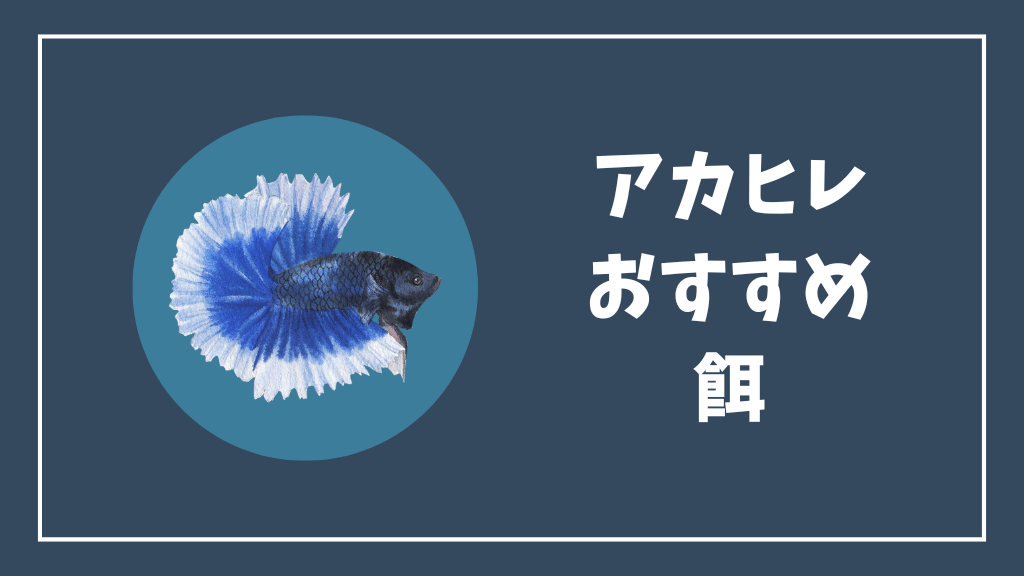 アカヒレにおすすめの餌