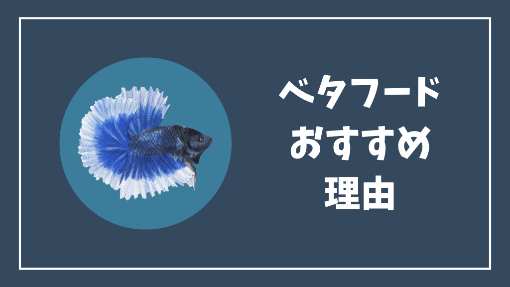 ベタフードがおすすめな理由