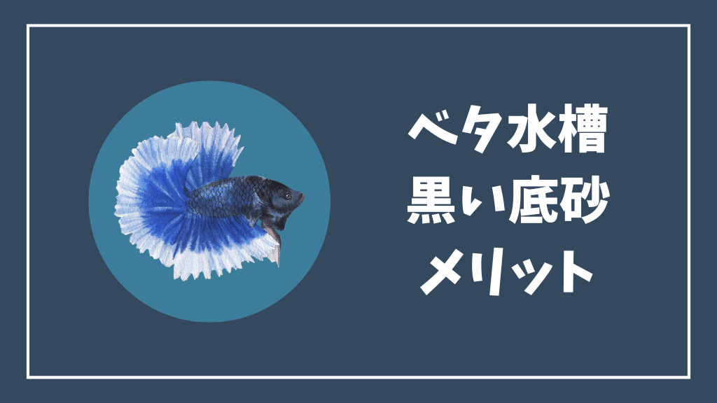 ベタ水槽の黒い底砂のメリット