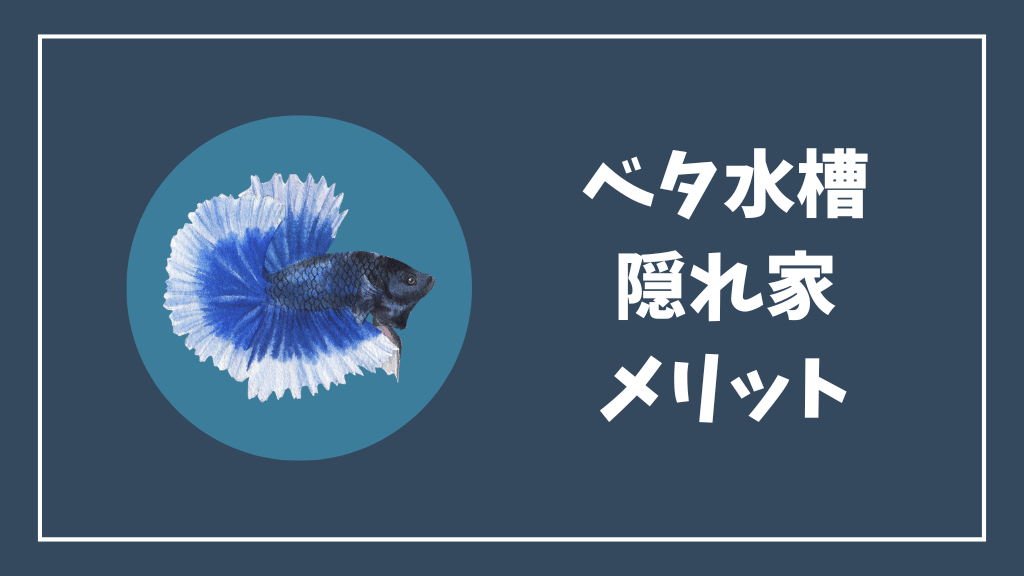 ベタ水槽の隠れ家のメリット