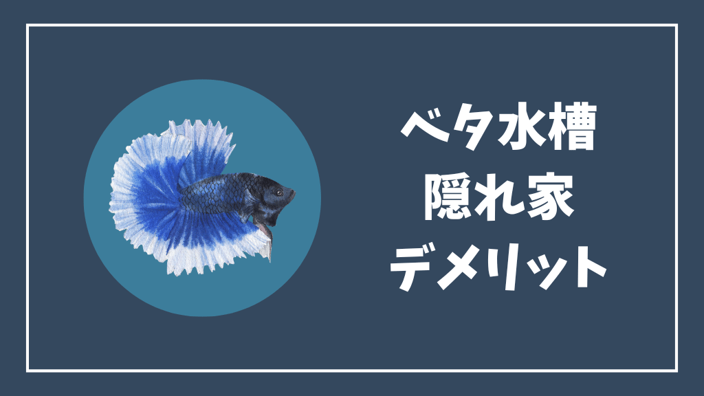 ベタ水槽の隠れ家のデメリット