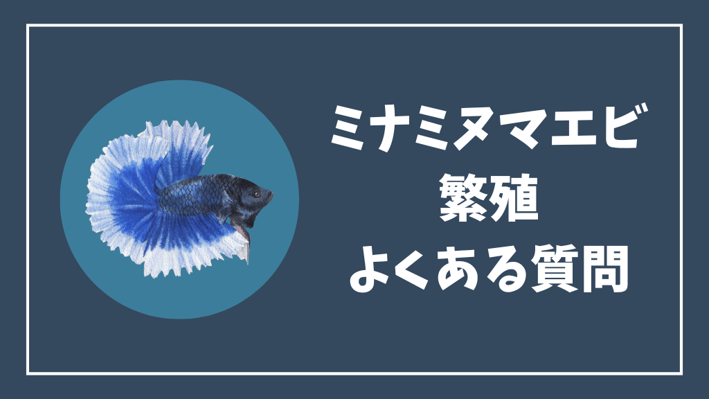 ミナミヌマエビの繁殖のよくある質問