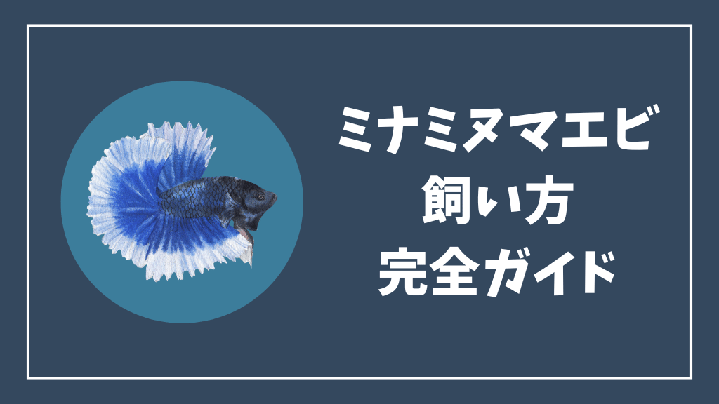 ミナミヌマエビ飼い方完全ガイド