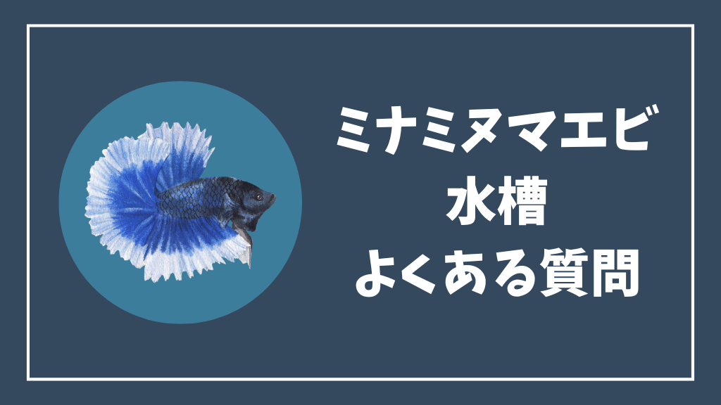 ミナミヌマエビ水槽のよくある質問