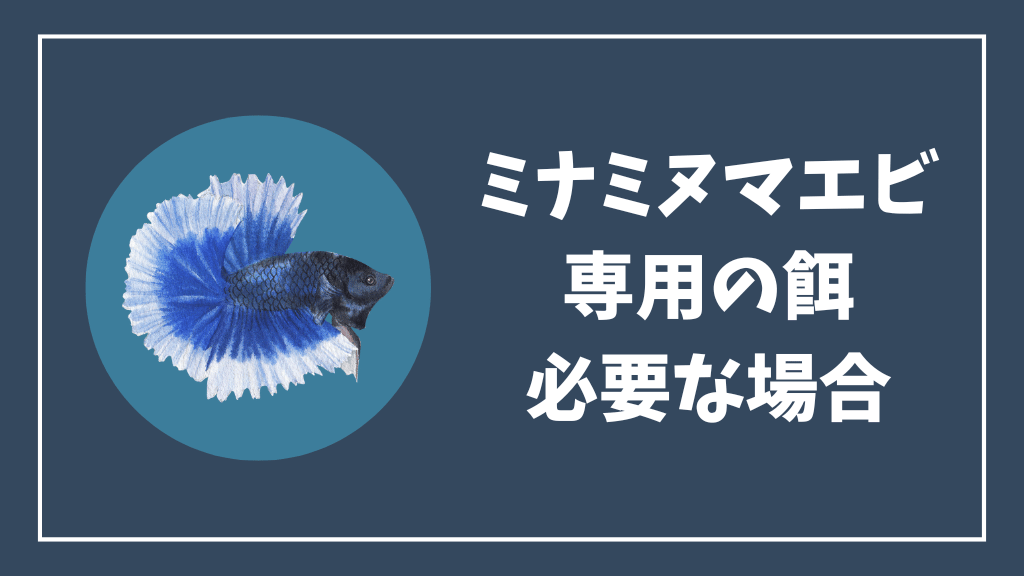 ミナミヌマエビの餌が必要な場合