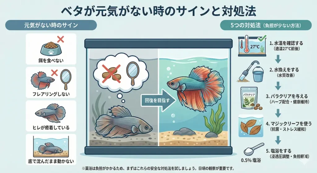 ベタの元気がない