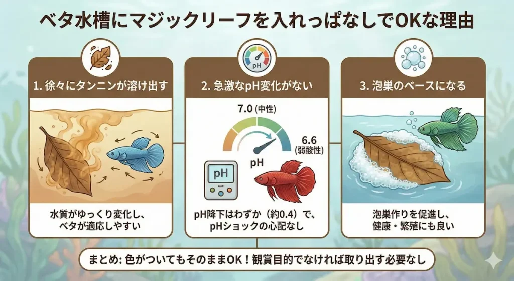 マジックリーフの入れっぱなし