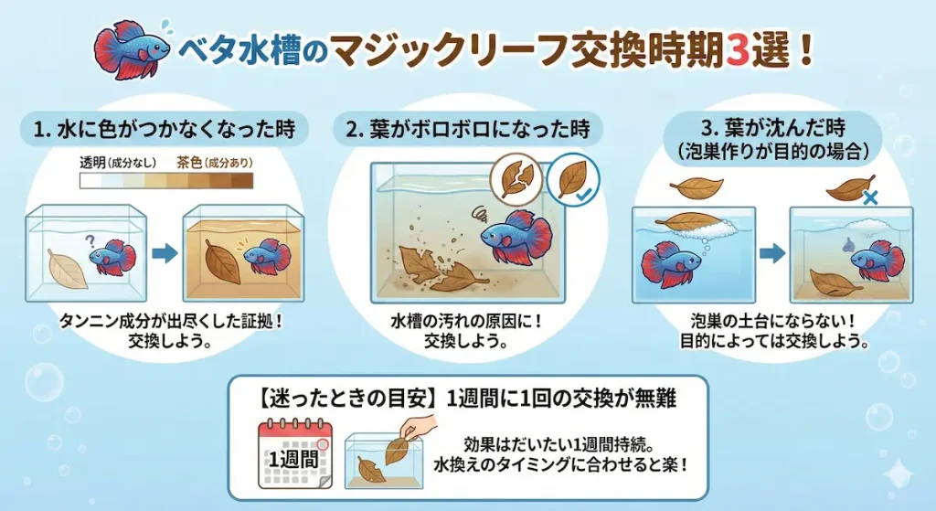 マジックリーフの交換時期
