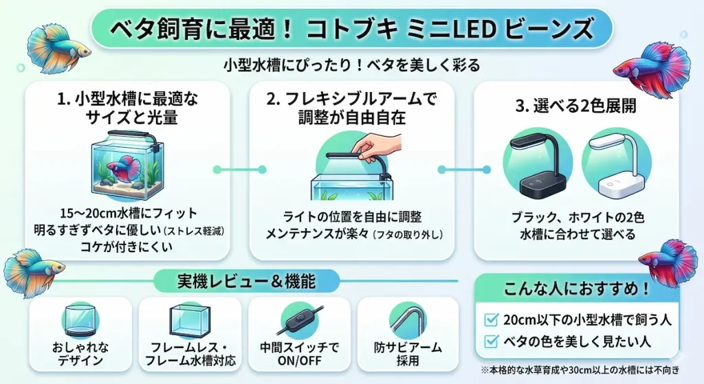 ミニLEDビーンズ