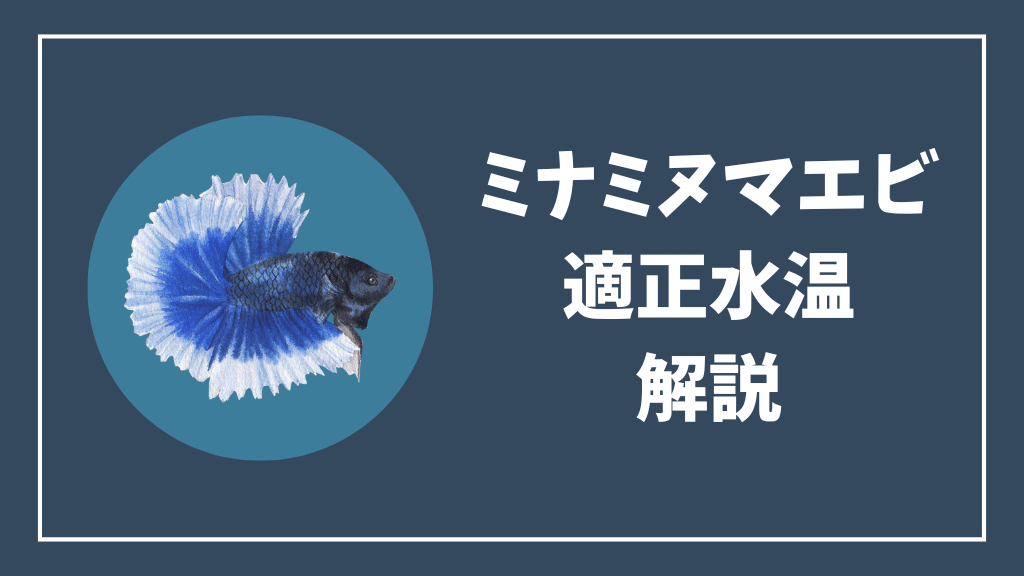 ミナミヌマエビの適正水温