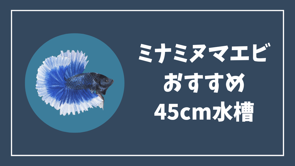 ミナミヌマエビにおすすめの45cm水槽