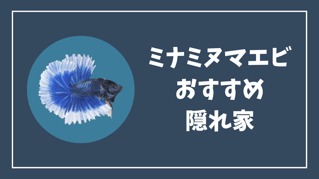 ミナミヌマエビにおすすめの隠れ家