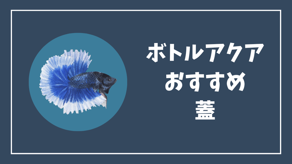 ボトルアクアリウムにおすすめの蓋