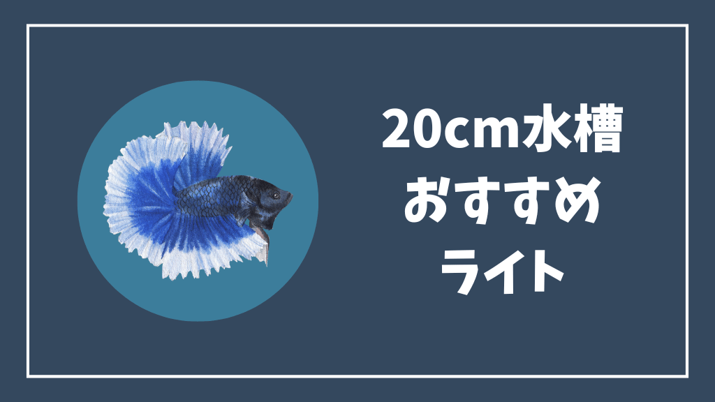 20cm水槽におすすめのライト