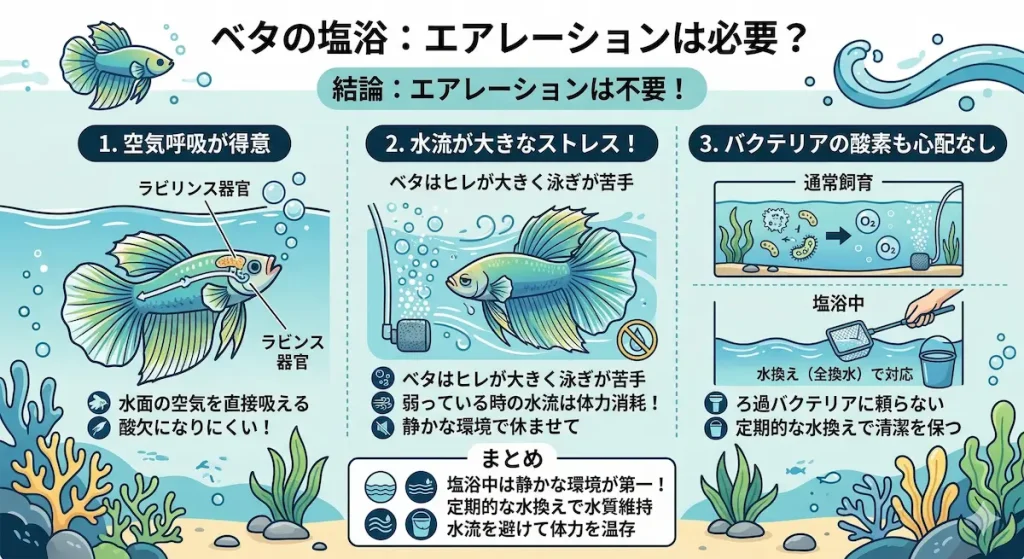 塩浴のエアレーション