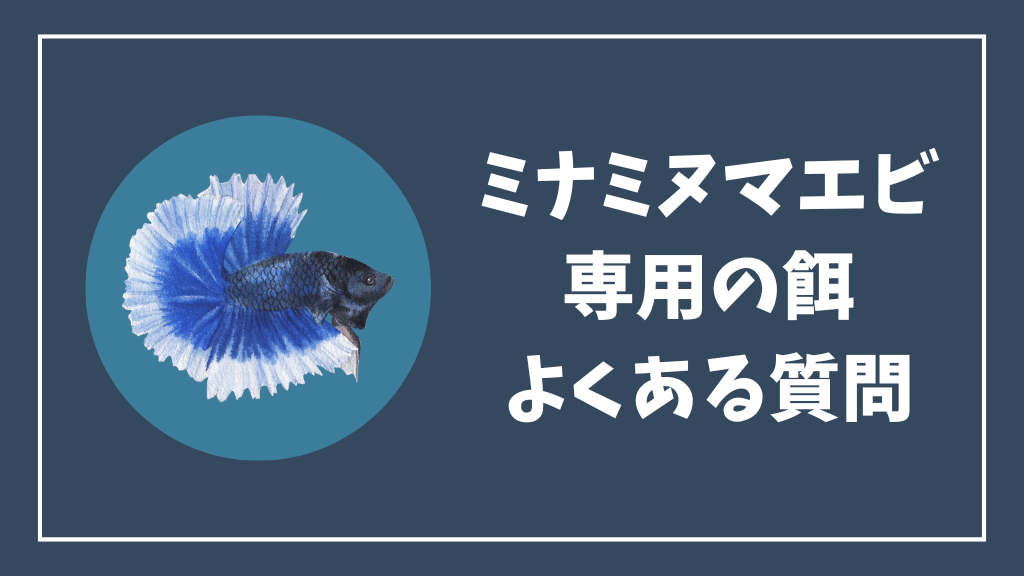 ミナミヌマエビの餌のよくある質問