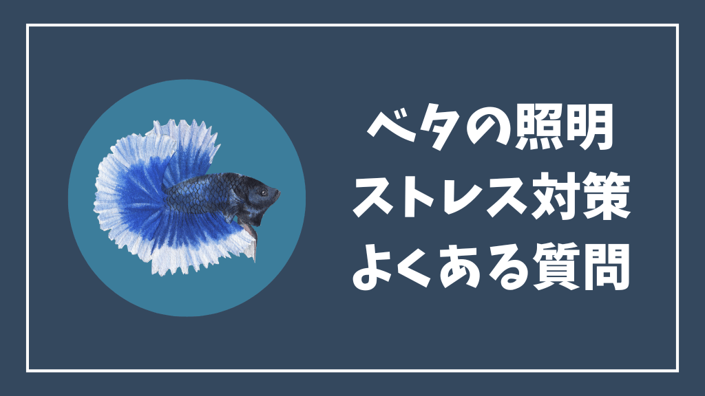 ベタの照明のストレス対策のよくある質問