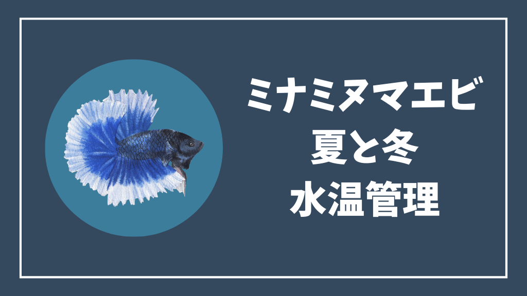 ミナミヌマエビの夏と冬の水温管理