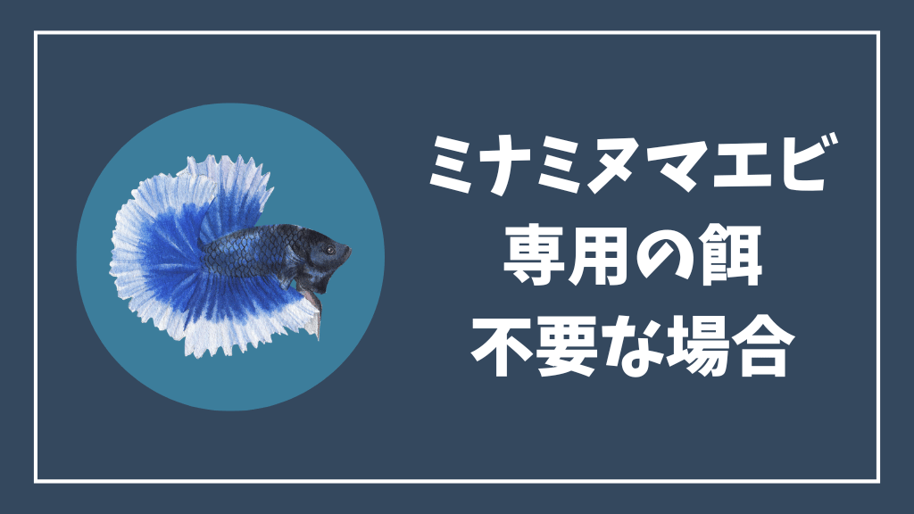 ミナミヌマエビの餌が不要な場合
