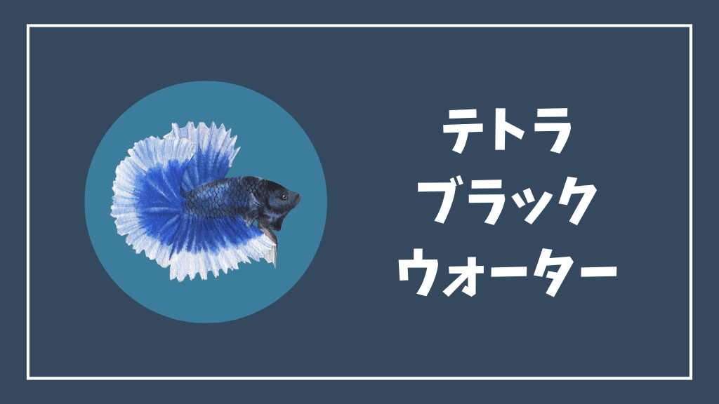 テトラブラックウォーターの効果とおすすめな理由