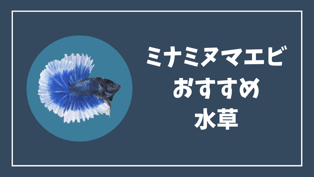 ミナミヌマエビにおすすめの水草