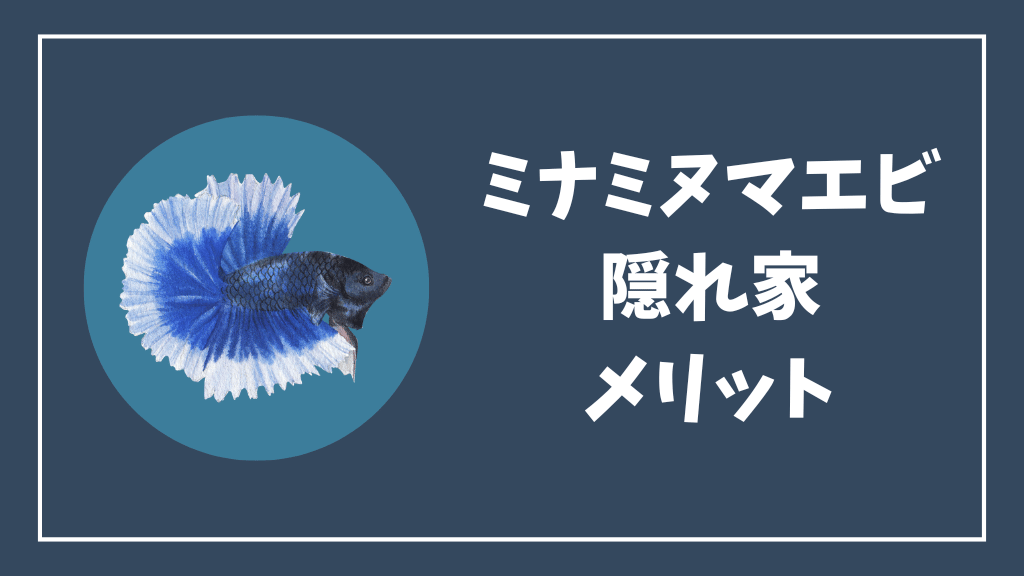 ミナミヌマエビの隠れ家のメリット