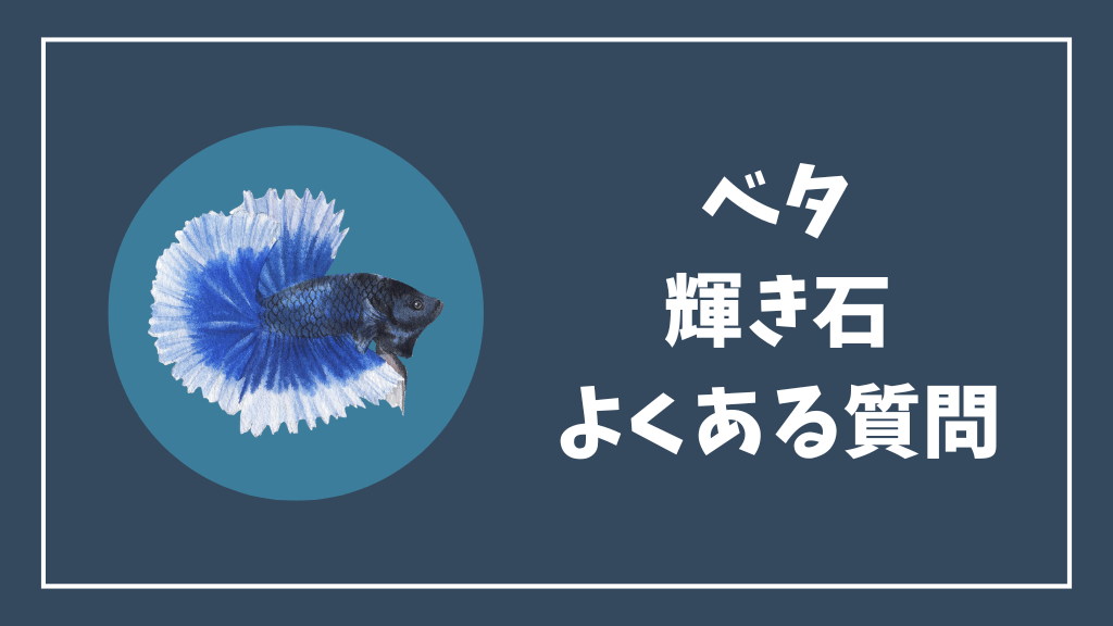 ベタの輝き石のよくある質問