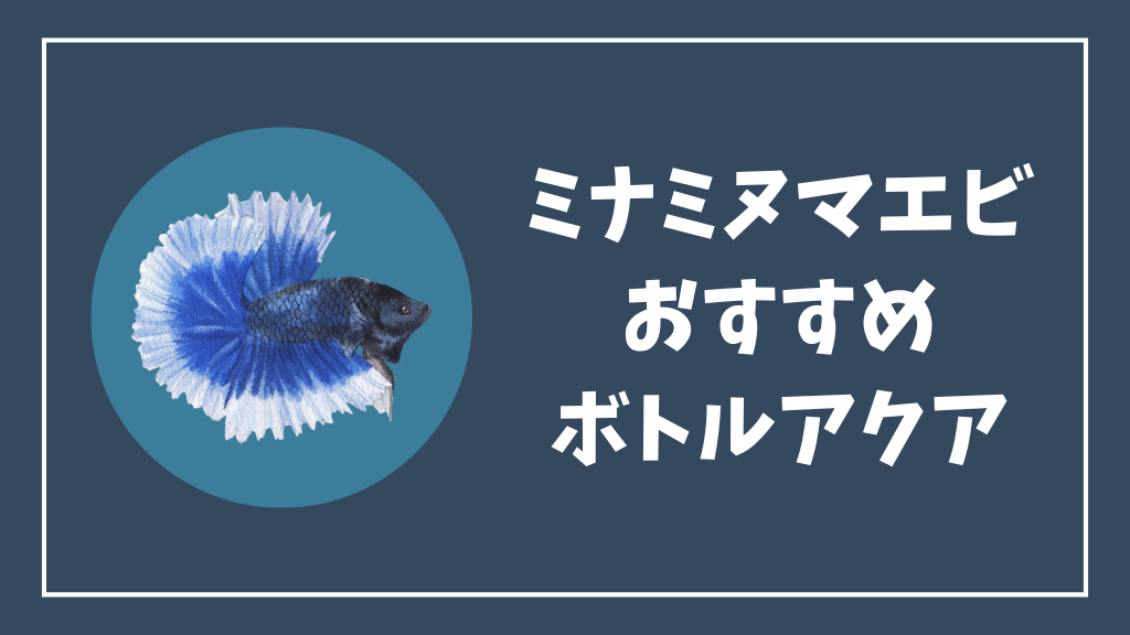 ミナミヌマエビにおすすめのボトルアクアリウム