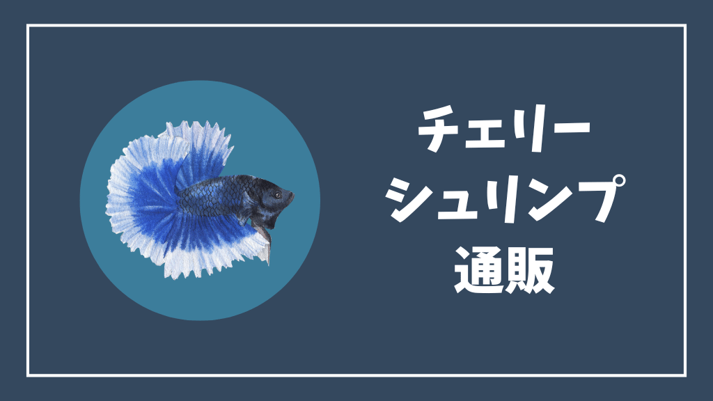 チェリーシュリンプの通販