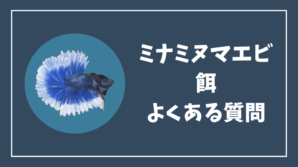 ミナミヌマエビの餌のよくある質問